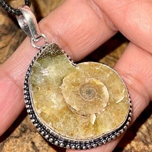 Earthy Ammonite Pendant 2”